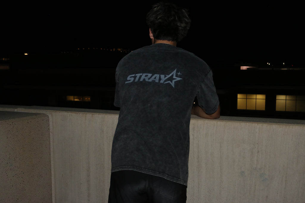 stray worldwide t-shirt